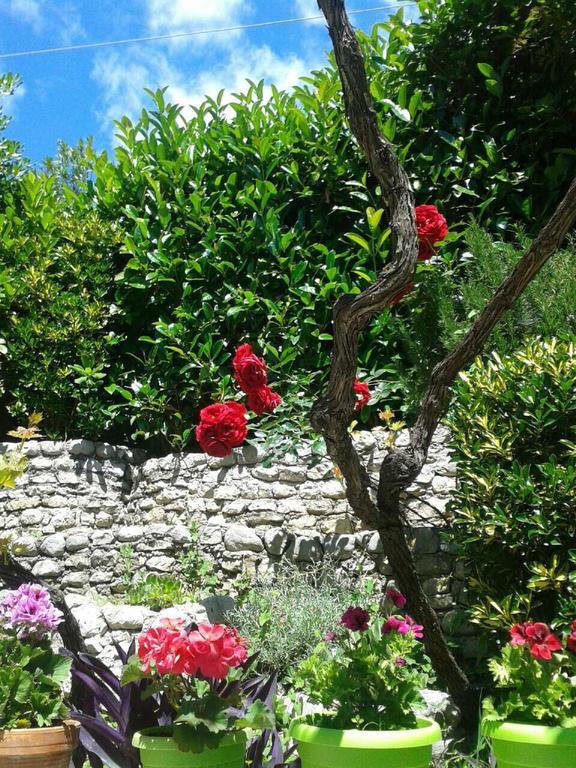 Apartments Milicevic Herceg Novi Ngoại thất bức ảnh